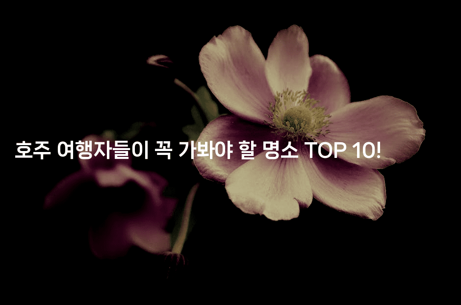 호주 여행자들이 꼭 가봐야 할 명소 TOP 10!
-호주루루