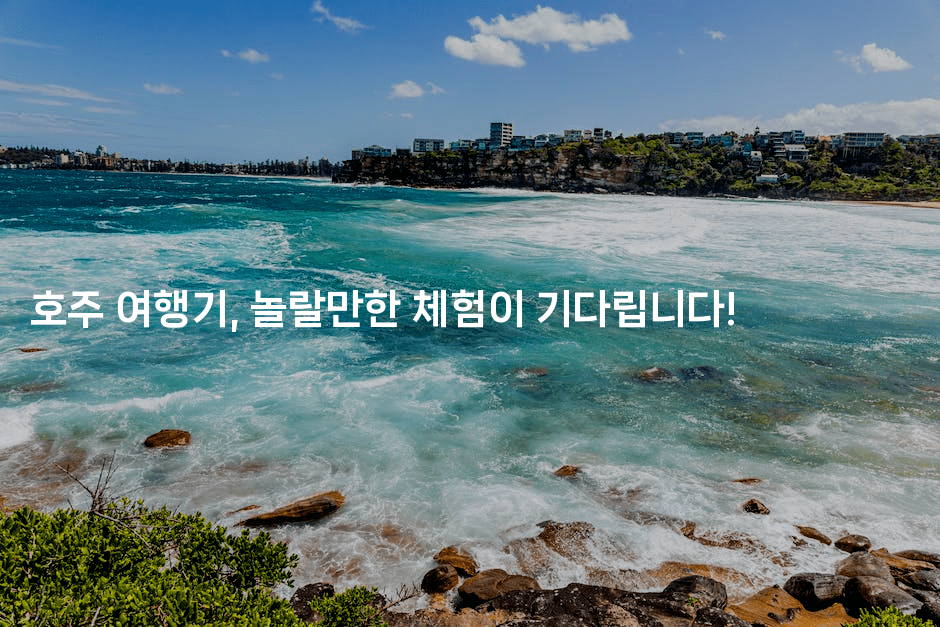 호주 여행기, 놀랄만한 체험이 기다립니다!2-호주루루