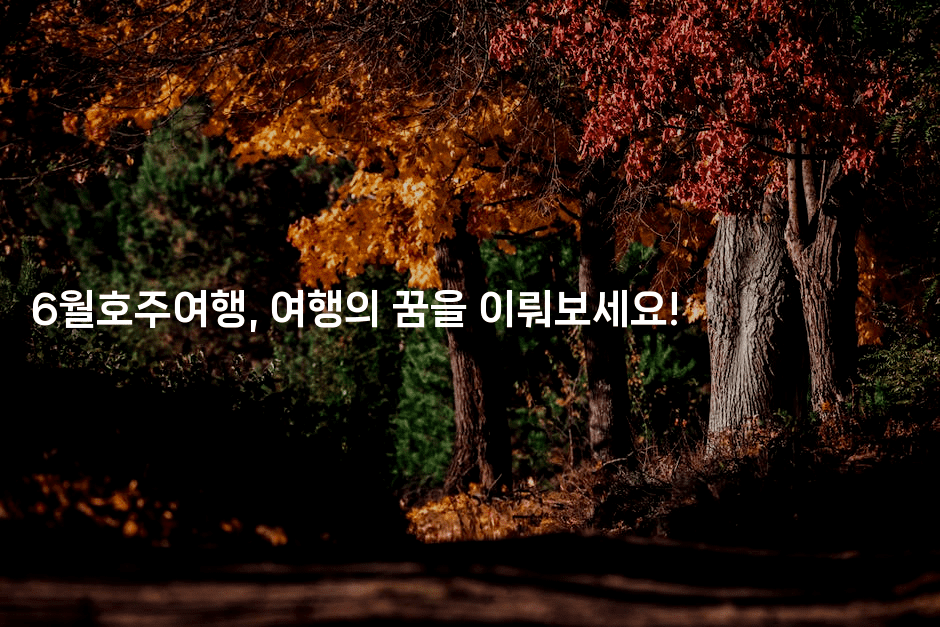 6월호주여행, 여행의 꿈을 이뤄보세요!2-호주루루