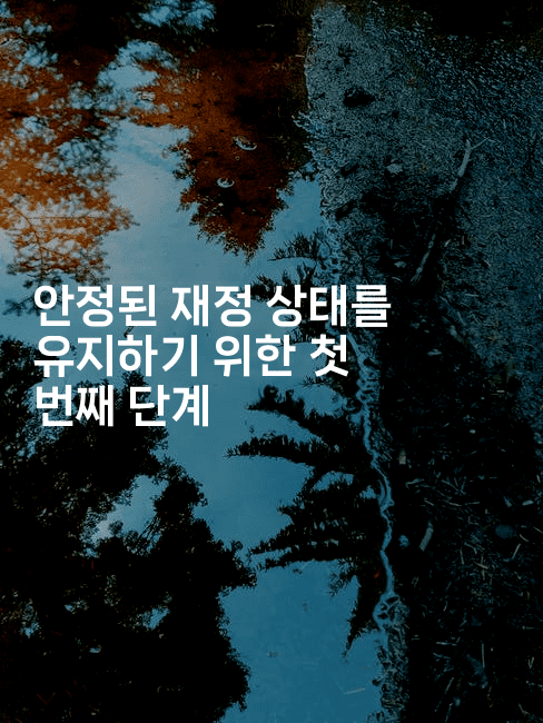 안정된 재정 상태를 유지하기 위한 첫 번째 단계