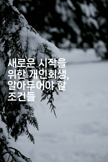 새로운 시작을 위한 개인회생, 알아두어야 할 조건들-호주루루