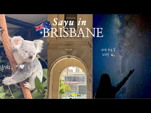 ENG/ 호주 여행 vlog 🇦🇺 | 브리즈번에서 24시간 | 🐨코알라 엉덩이 촉감은요…은하수💫보러 무게라호수 | 론파인 코알라 생츄어리 & 현대여행사 별빛 투어 후기