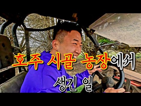 호주 시골 농장에서 생긴 일 | 해외여행,시드니,멜버른,호주 | 호주 VLOG EP.8