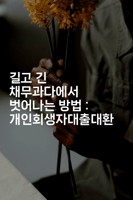 길고 긴 채무과다에서 벗어나는 방법 : 개인회생자대출대환-호주루루