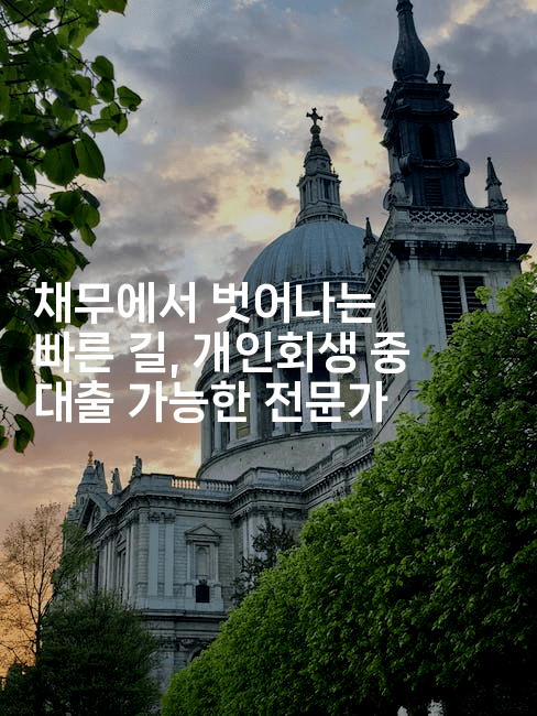 채무에서 벗어나는 빠른 길, 개인회생 중 대출 가능한 전문가-호주루루