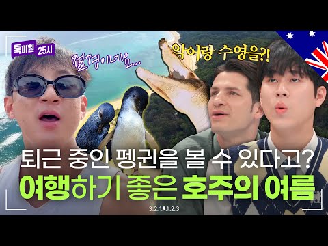 야생동물과 함께 이색 체험을?✨ 여름에 제일 아름다운 호주 몰아보기 80분｜톡파원 25시｜JTBC 220406 방송 외