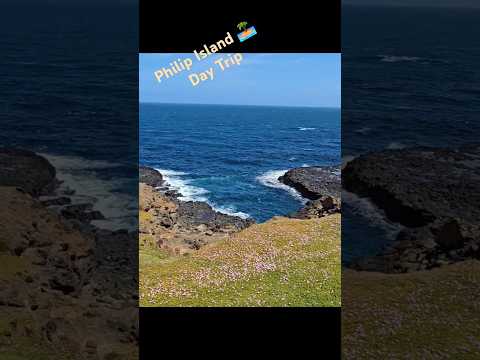 Phillip Island under 1 mins #vlog #travel #day #nature #beautiful #beach #australia #island #drive