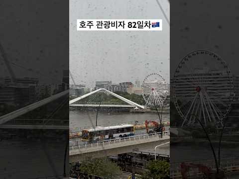 호주 Tourist 83day_Raining all day?️#호주 #호주관광비자