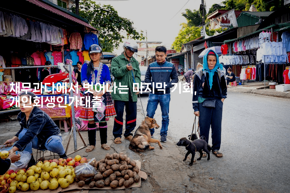 채무과다에서 벗어나는 마지막 기회, 개인회생인가대출-호주루루