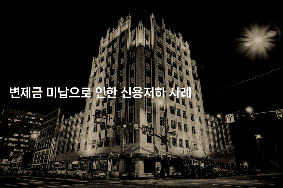 변제금 미납으로 인한 신용저하 사례-호주루루