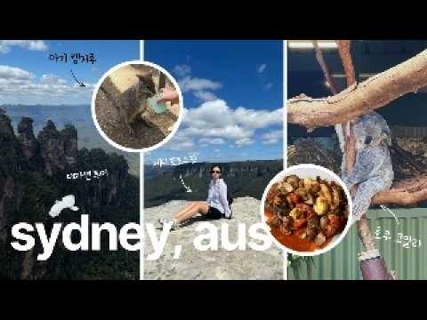 호주 시드니여행 🇦🇺 투어 웨 않헤..? 블루마운틴 일일투어🌲시드니 투어코스🚐 코알라 영접, 제니포토스팟에서 인생샷 건지기,페더데일동물원,시드니맛집