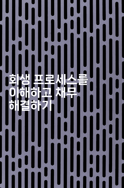 회생 프로세스를 이해하고 채무 해결하기-호주루루