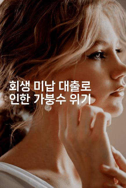 회생 미납 대출로 인한 가붕수 위기-호주루루